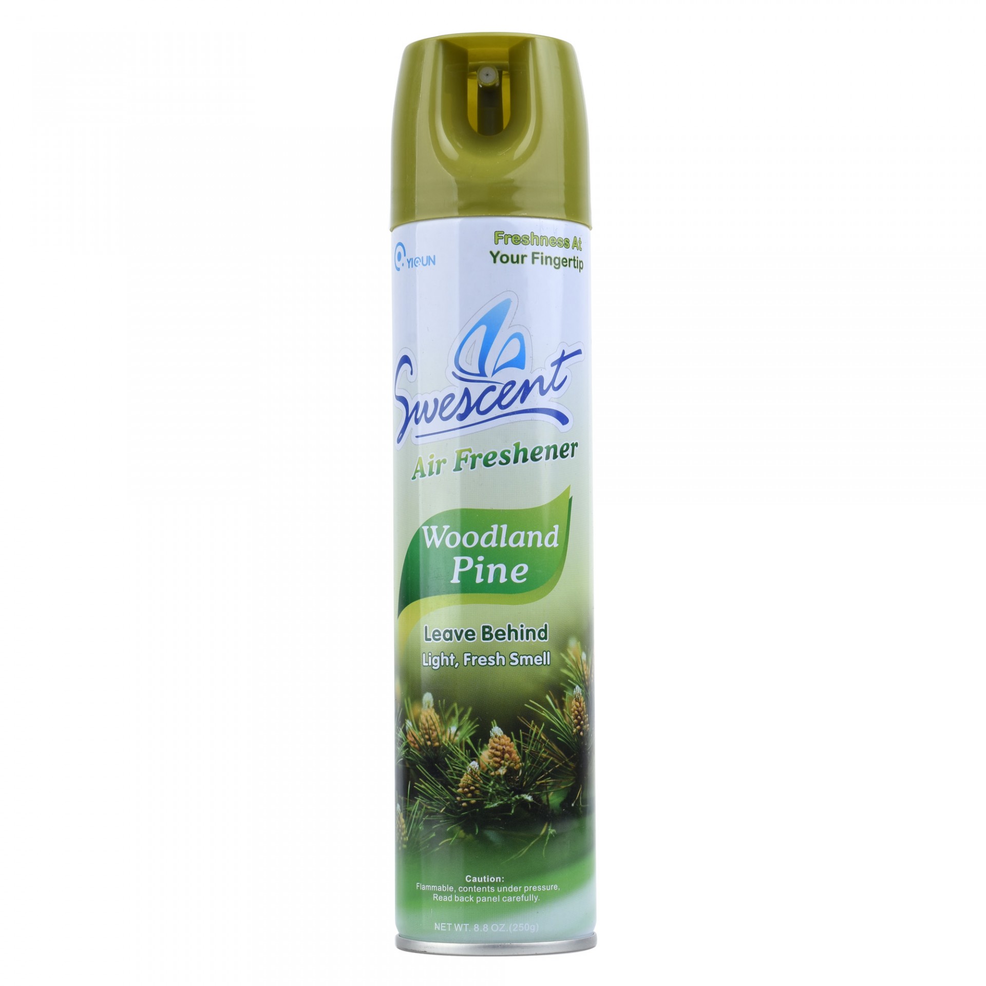 Air Freshener Aerosol Spray3